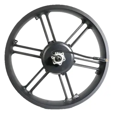 Moteur moyeu d'un fatbike