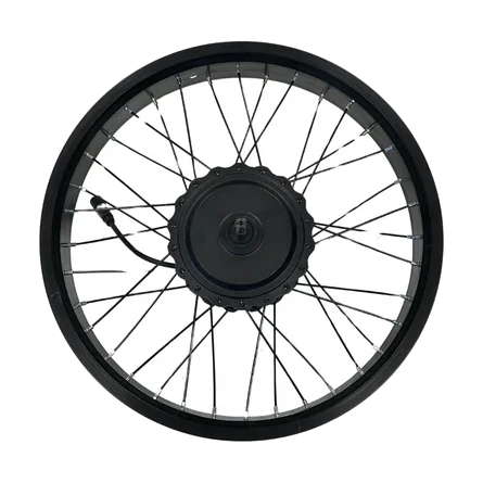 Moteur de roue arrière 250W – AGM GT250